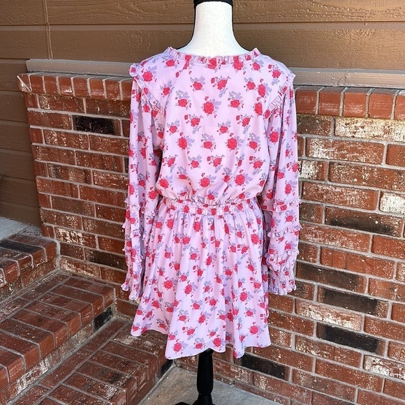 Shabby Chic Everleigh Rose Floral Print Ruffle Trim V-Neck Blouson Smocked Dress - Picture 6 of 8